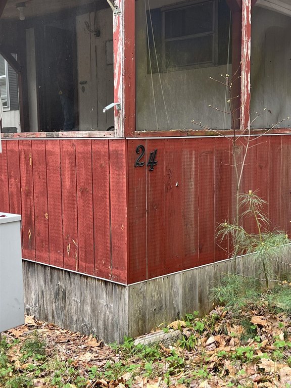 Picture 5