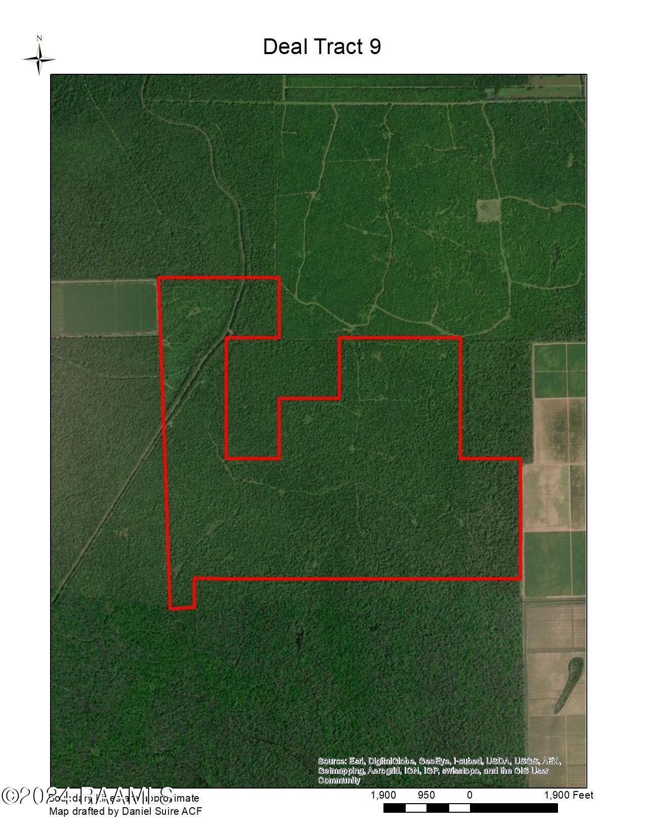 850 Acres Hunting Land