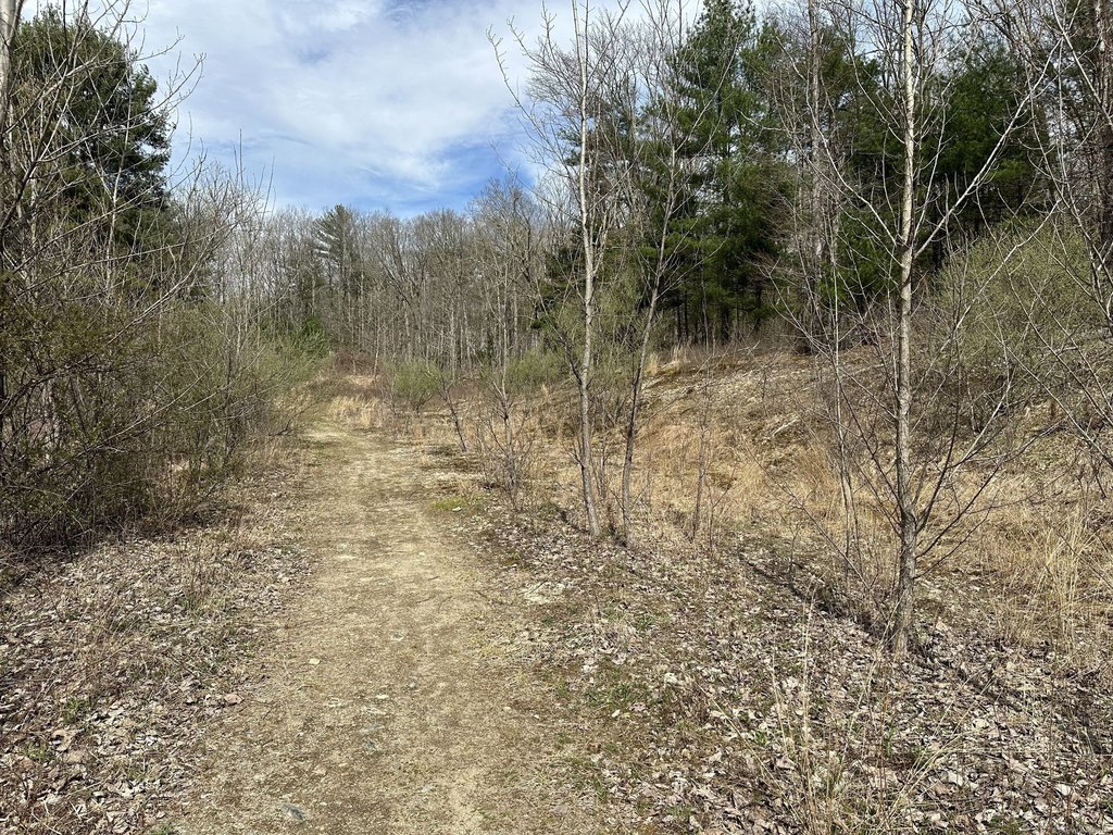 Picture 4