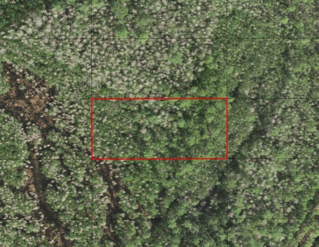 Holopaw Acreage for Recreation
