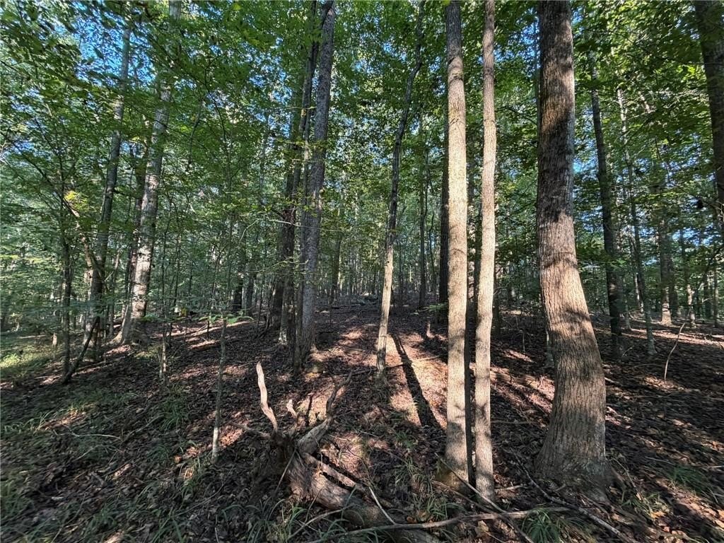 Picture 15