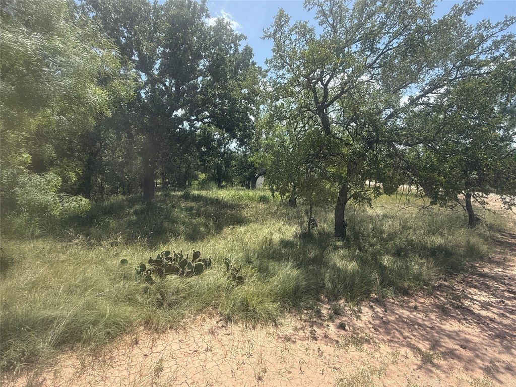 Picture 5