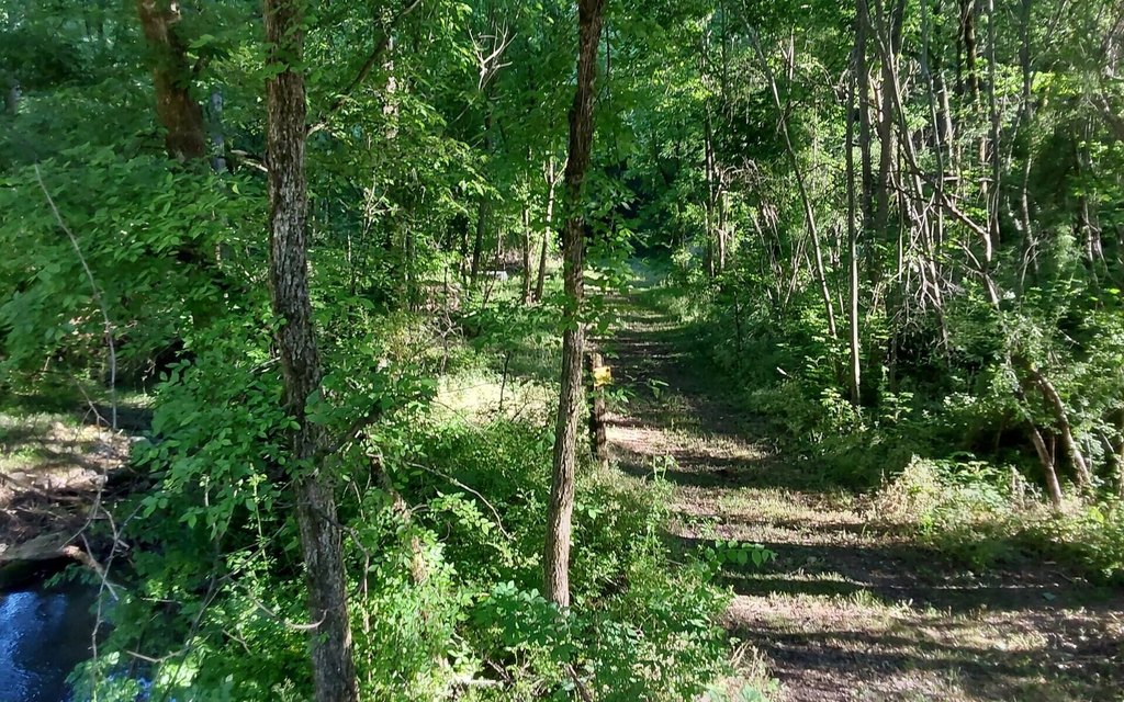 Picture 4