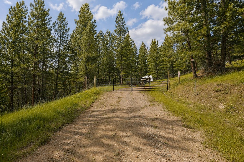 Picture 25