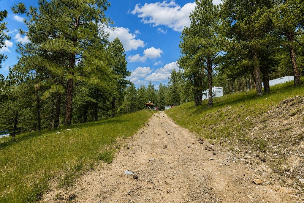 Picture 20