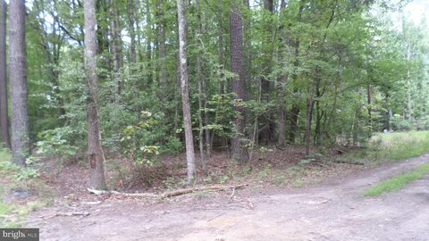LAND - COLONIAL BEACH, VA