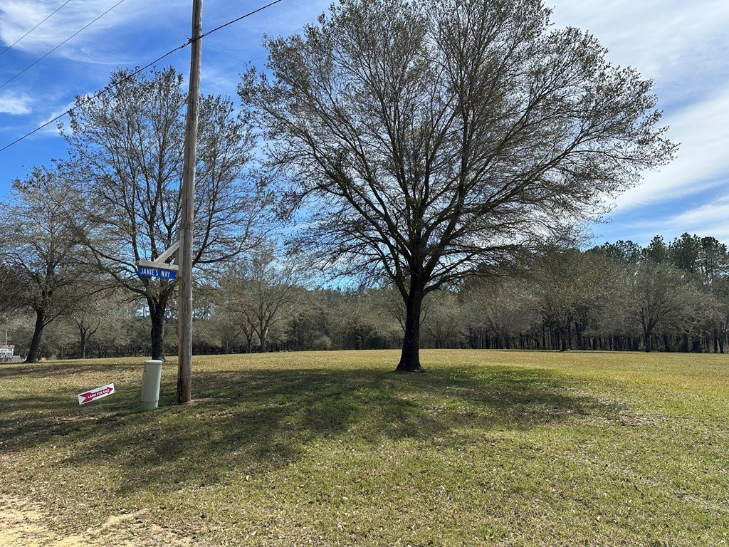 Picture 5