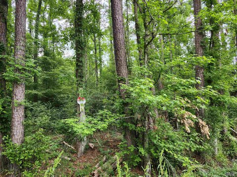 Residential Land in Denham Springs