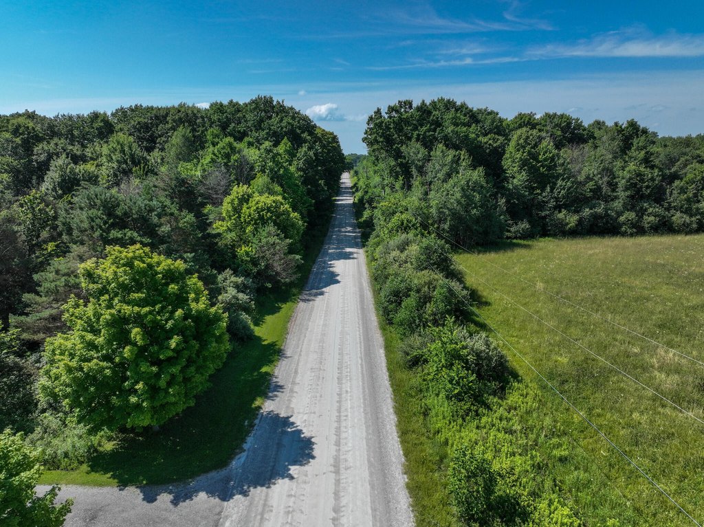 Picture 17