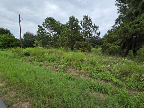 5+ Acres in Rural Anderson