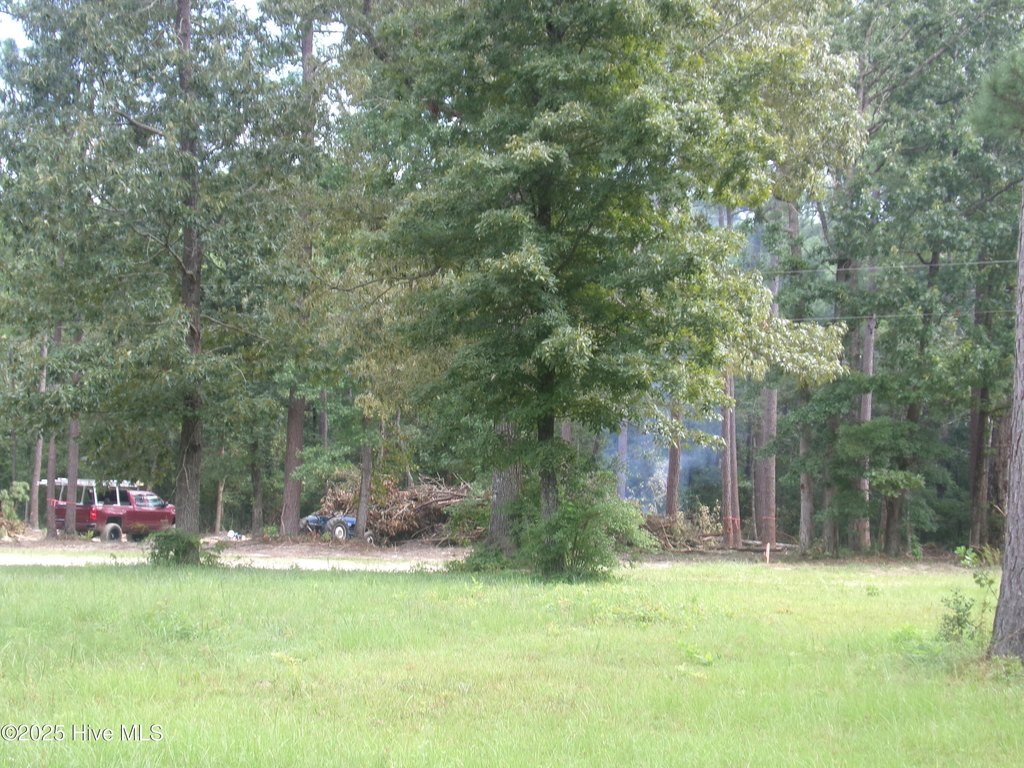 Picture 3