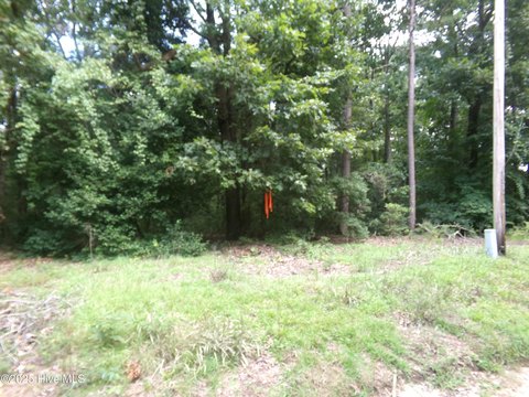 Land, Elizabethtown, NC