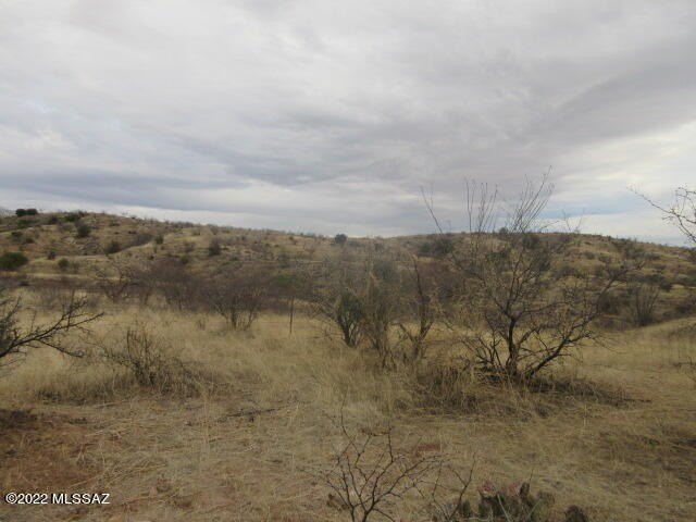 Rio Rico Land For Sale