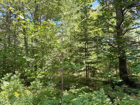 Land, Cheboygan, MI