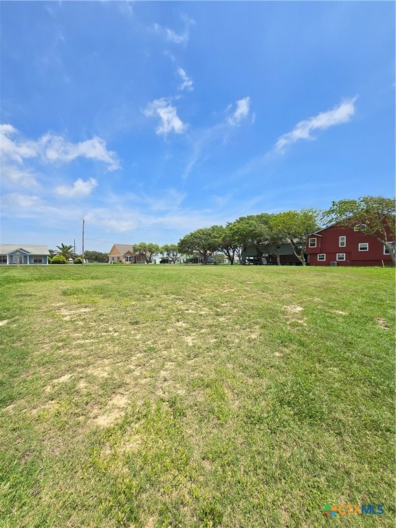 Picture 15