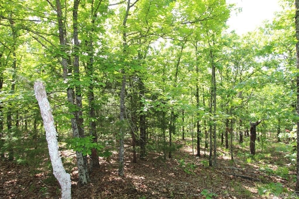 Picture 12