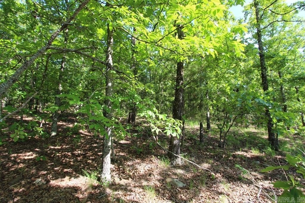Picture 14