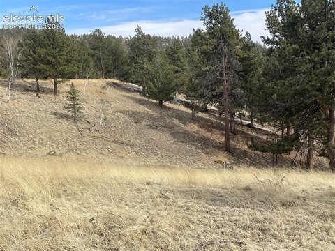 Land, Florissant, CO