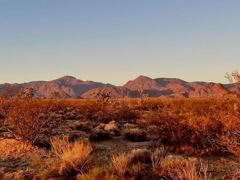 LAND - Yucca, AZ