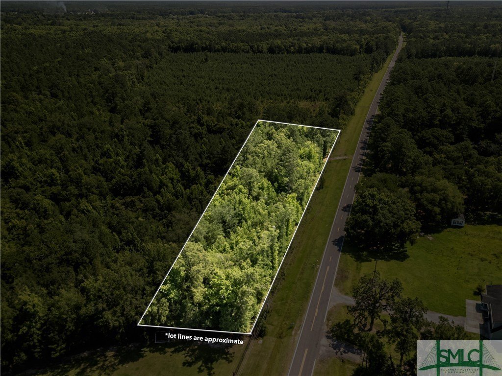 Land in Coastal Georgia