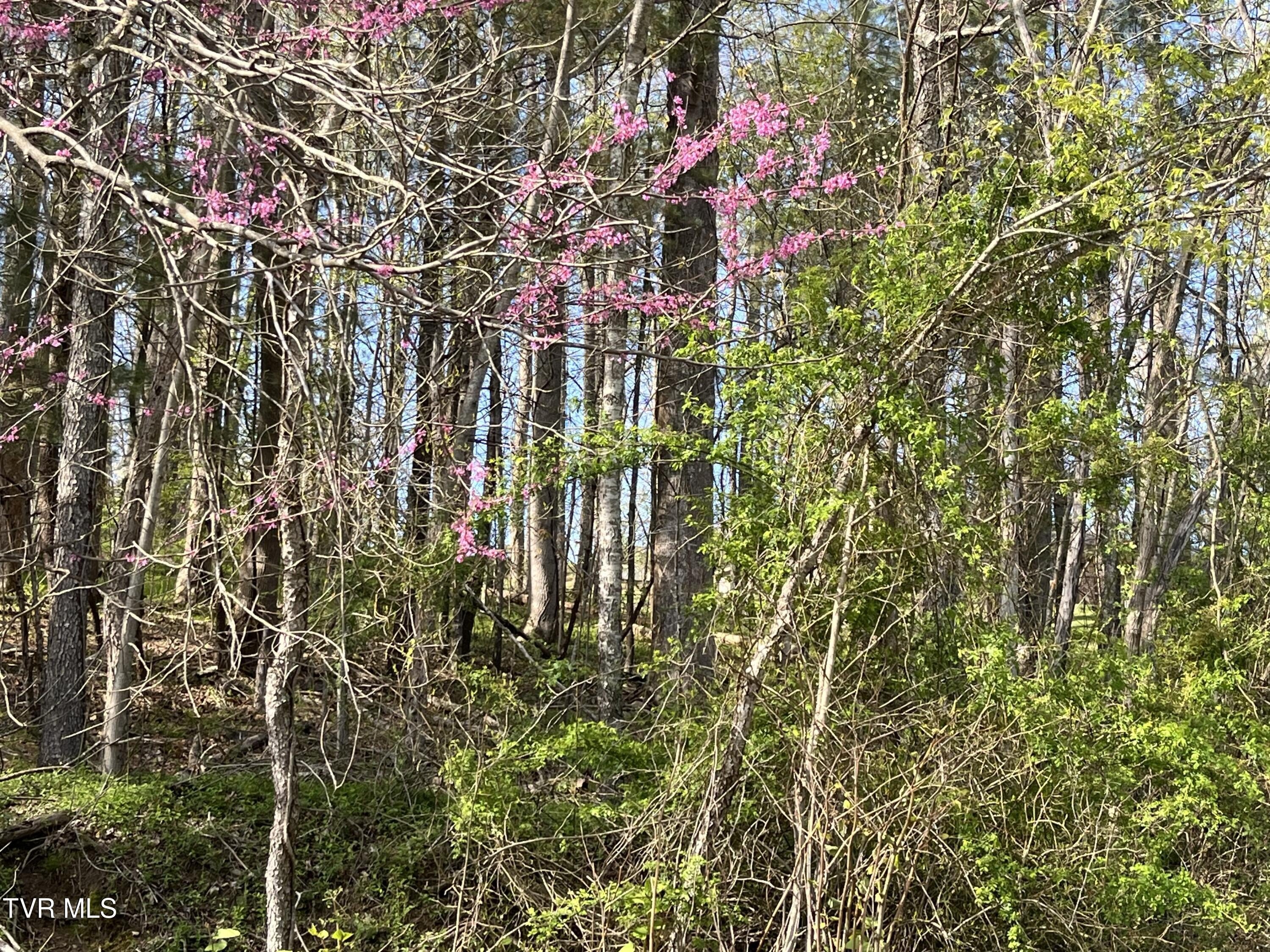 Residential Land Near Golf Course