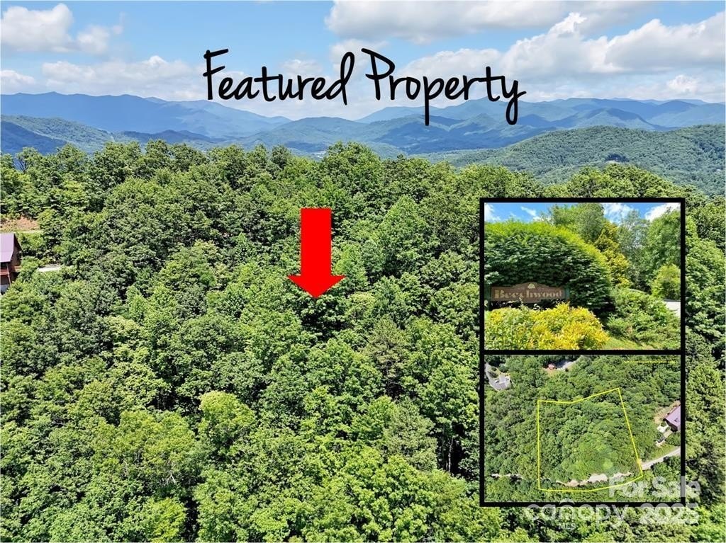 Sylva, NC Mountain View Land