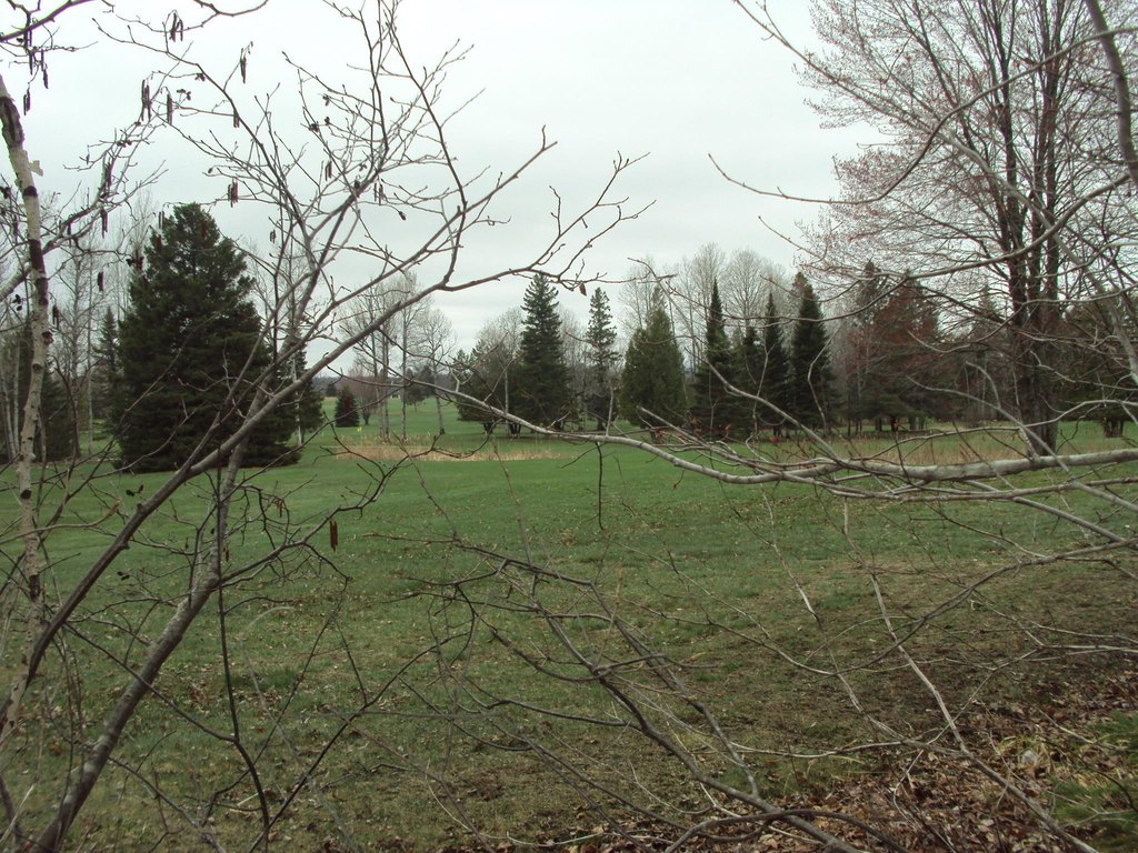 Picture 13
