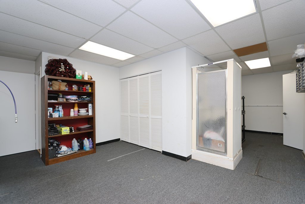Picture 23