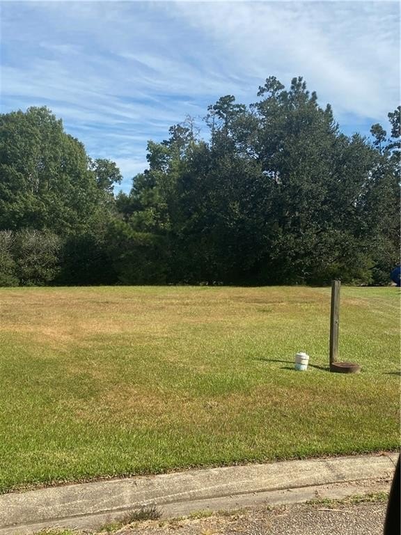 Picture 2