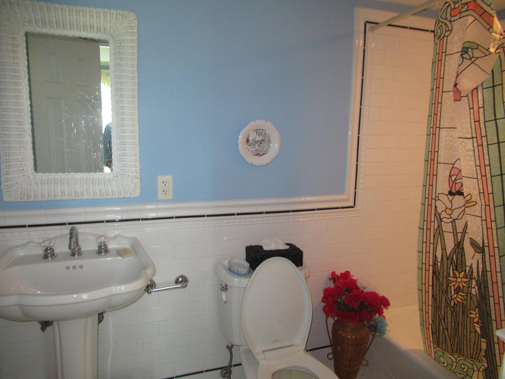 Picture 48