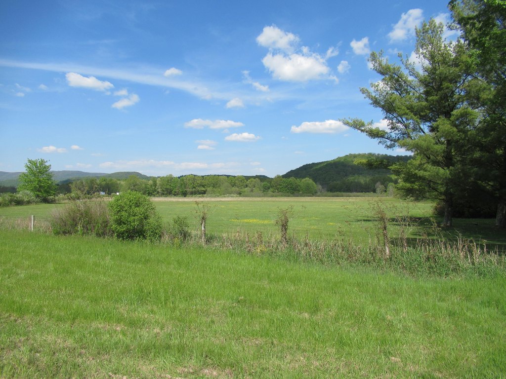 Picture 8