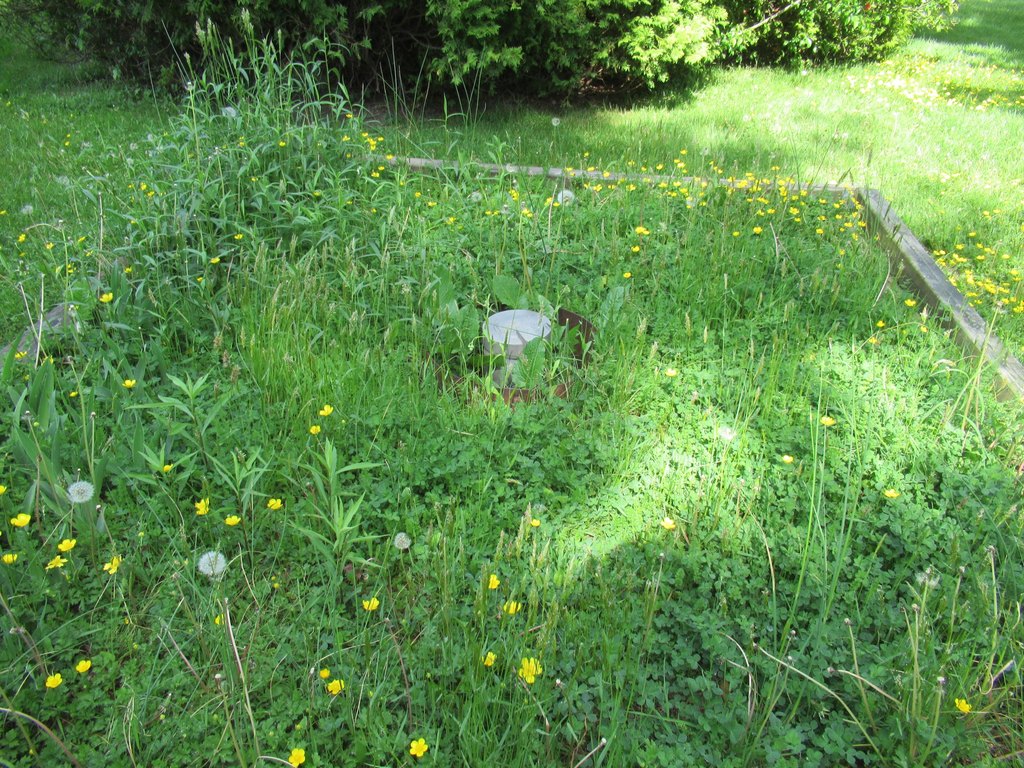 Picture 10