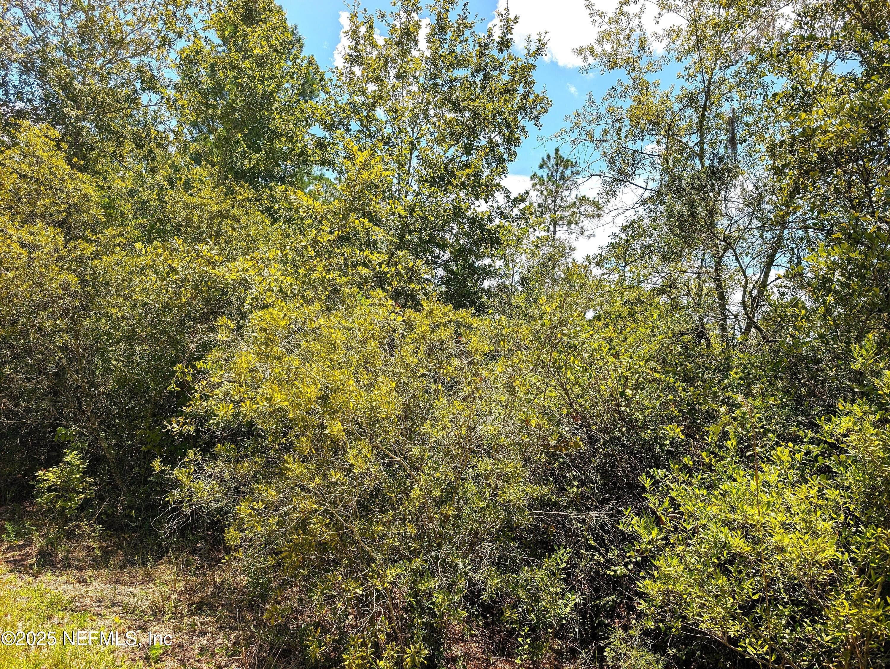 5-Acre Homesite in Starke, FL