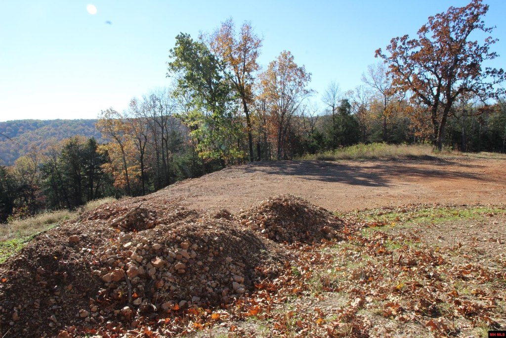 Picture 16