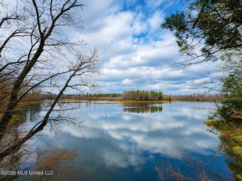 200 Acres Recreational Land, Lexington