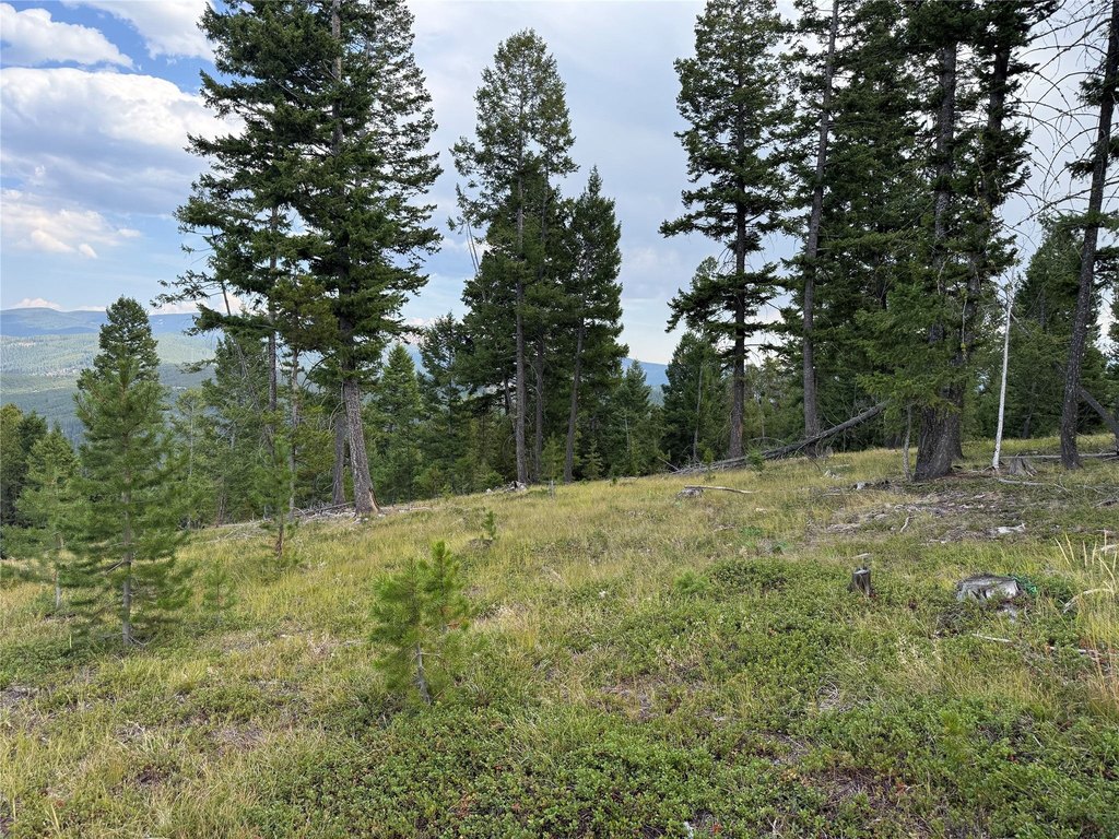 Picture 39