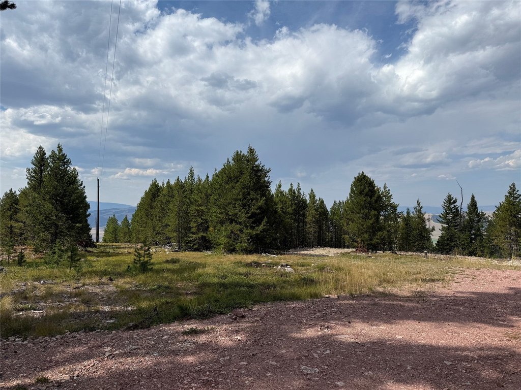 Picture 30