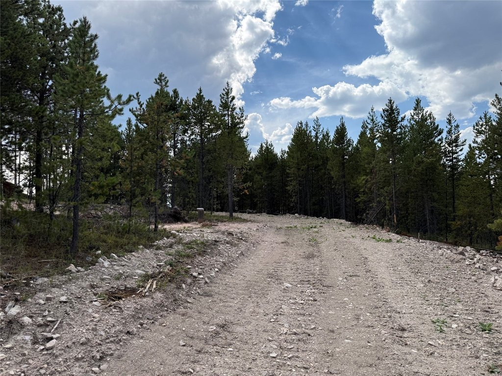Picture 42