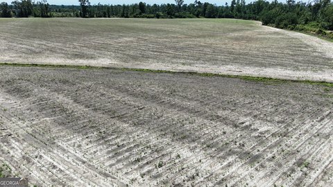 Working Row Crop Farm Property