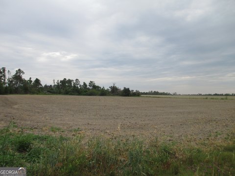 Lumber City Open Land Farm