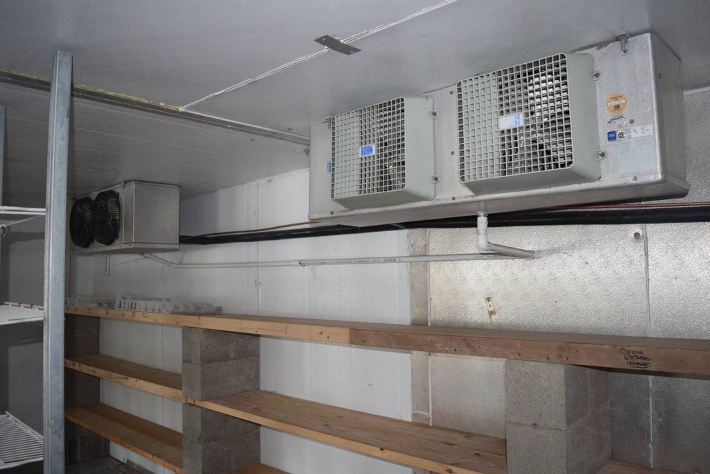 Picture 14