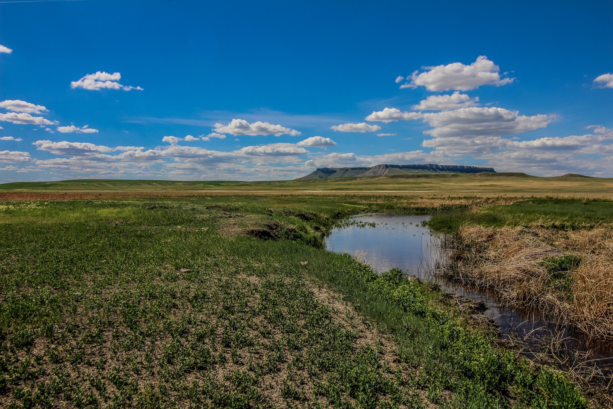 160 Acres with Creek Frontage