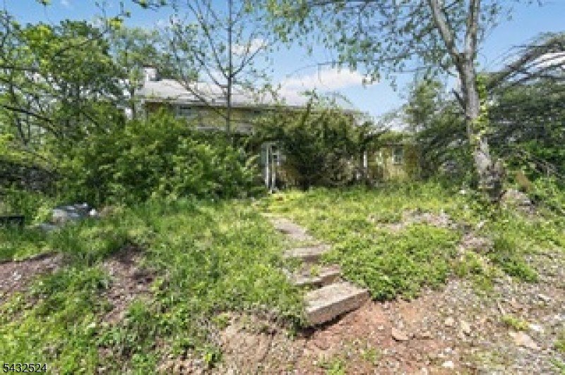 Picture 21
