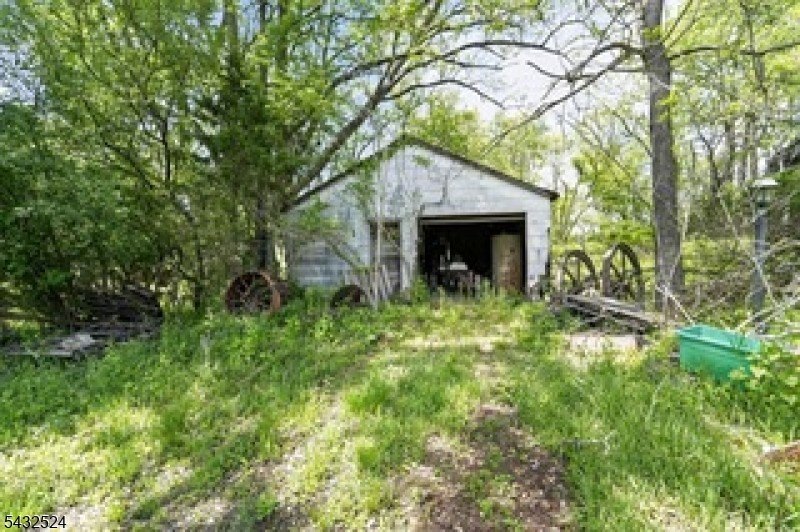 Picture 12