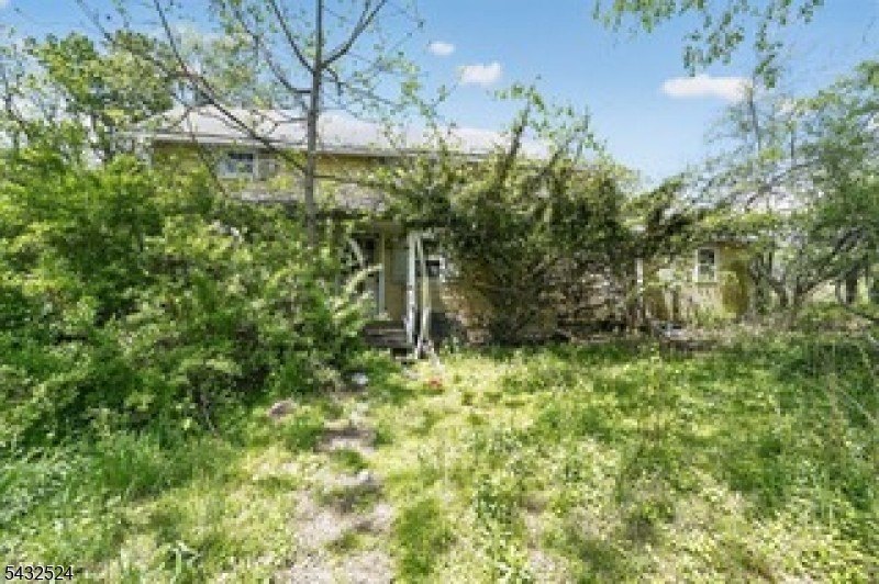 Picture 25
