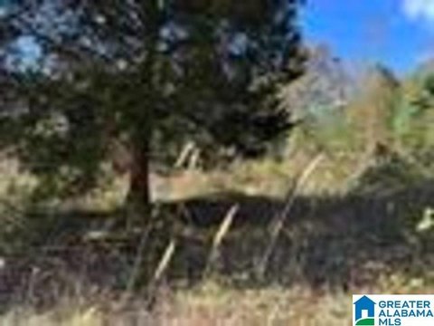 Serene Acreage in Heflin, AL