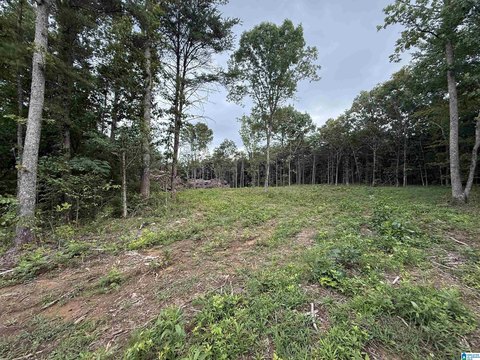 LAND - ONEONTA, AL