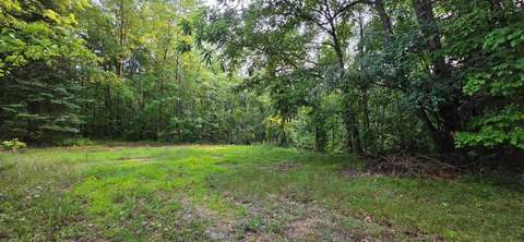 FranklinTownship_Clare, MI