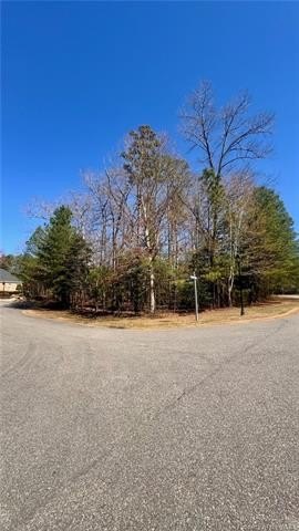 Picture 8