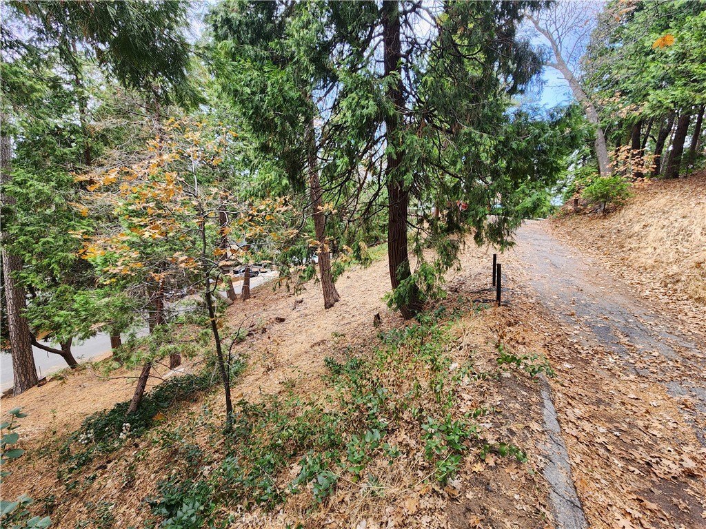 San Moritz Woodsy Lot
